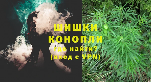 прущая мука Новодвинск