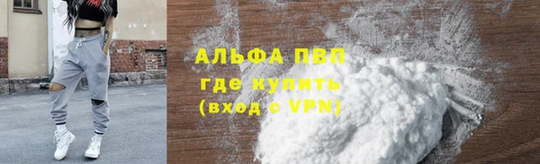 прущий лед Новозыбков