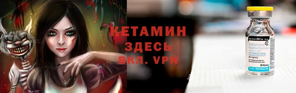 прущий лед Новозыбков