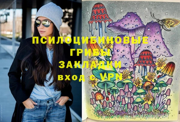 прущая мука Новодвинск