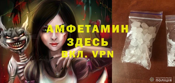 хмурый Болотное