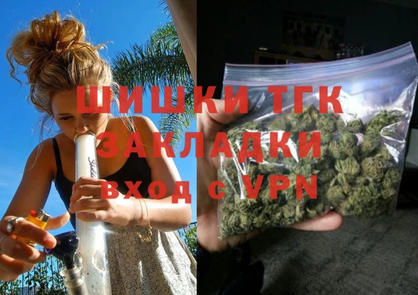 хмурый Болотное