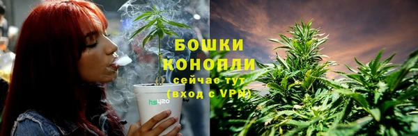 прущая мука Новодвинск