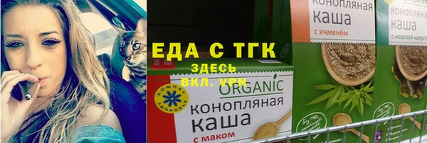 прущий лед Новозыбков