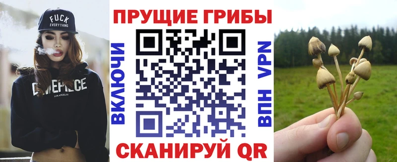 KRAKEN ONION  купить  сайты  Салаир  Галлюциногенные грибы мухоморы 